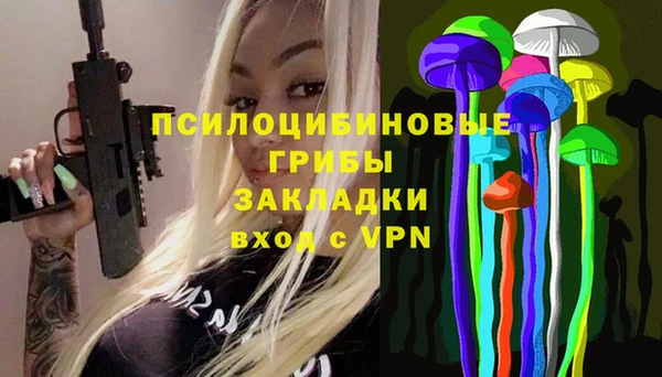 дживик Баксан