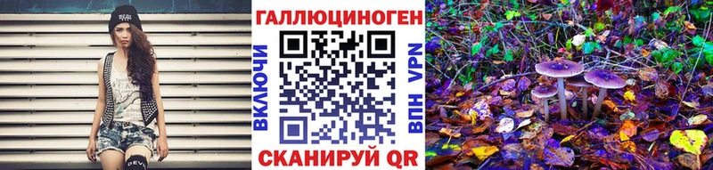 Купить закладки  Боровичи  Галлюциногенные грибы GOLDEN TEACHER 