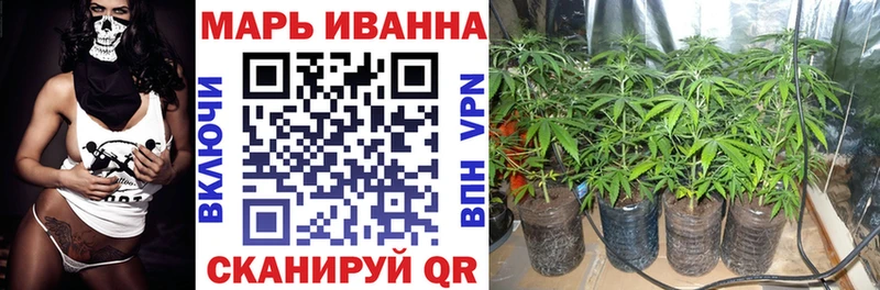 Купить  Боровичи  Конопля VHQ 